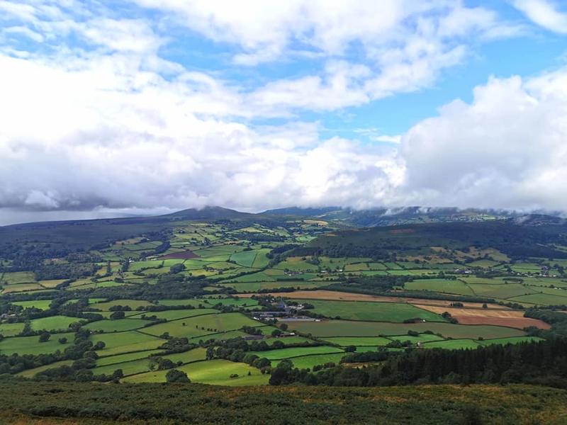 View over farmland